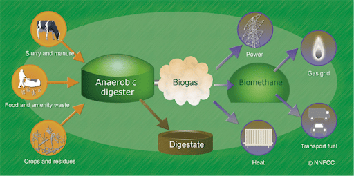Featured image for “Biomass: The Benefits of Anaerobic Digesters”